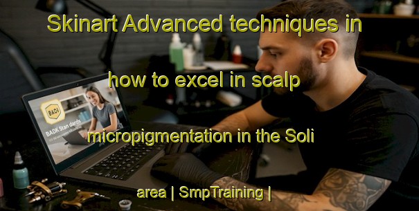 Skinart Advanced techniques in how to excel in scalp micropigmentation in the Soli area | SmpTraining | SmpClasses | SkinartTraining-the Democratic Republic of the Congo